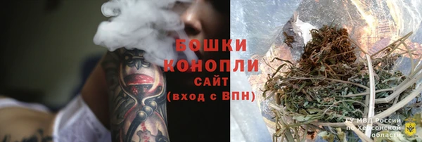 сатива Балахна