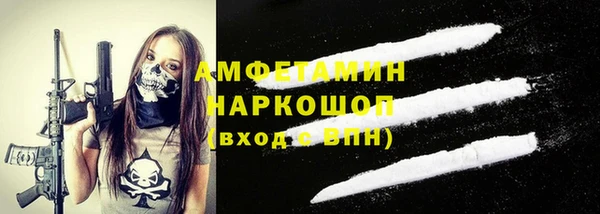 сатива Балахна
