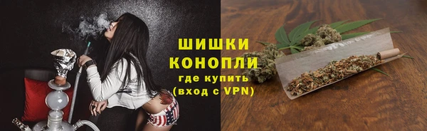 сатива Балахна