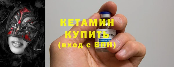 сатива Балахна